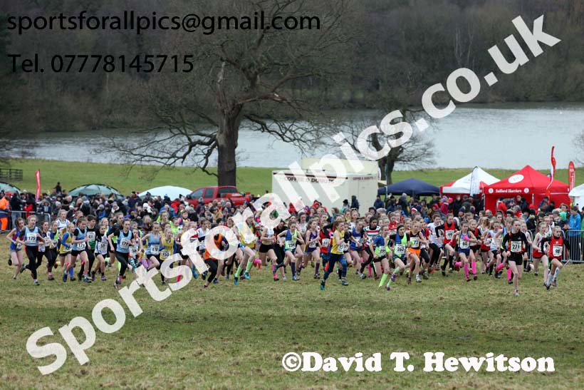 Girls under-13s, 2018 Northern Cross Country Champs., Harewood House, Leeds. Photo: David T. Hewitson/Sports for All Pics
